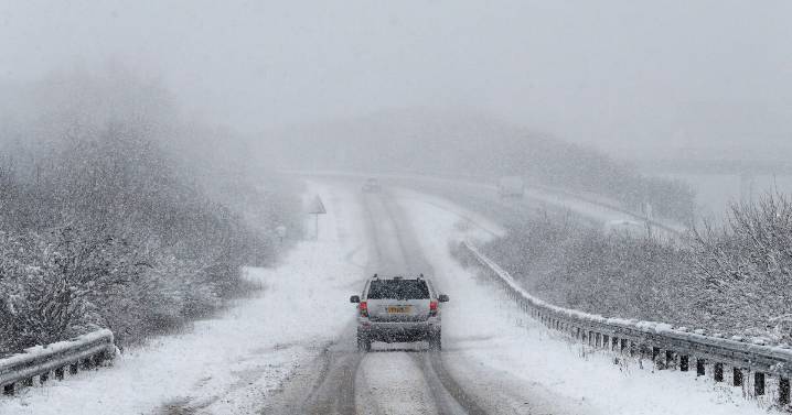 UK snow maps show blizzards hitting as far south as Devon with brutal -2C freeze