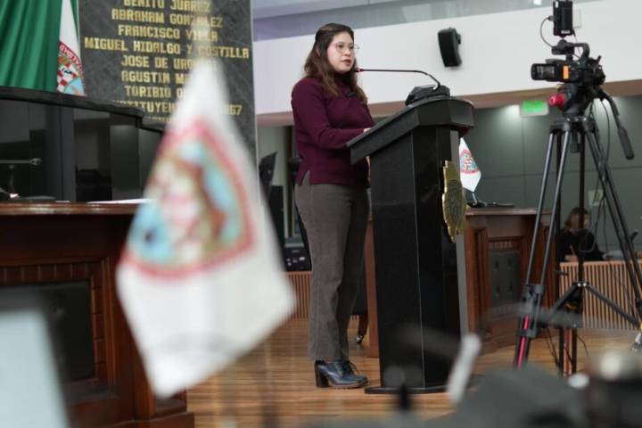 Propone diputada Argüelles castigar la cohabitación forzada y exige acciones contra matrimonio y embarazo infantil