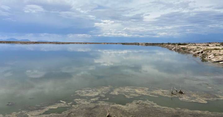 New Mexico Environment Department launches public health survey focused on PFAS at Holloman Lake