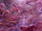 Ethiopia confirms first outbreak of Marburg virus