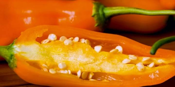 ¿Ha notado que el ají amarillo está más caro en los mercados? El motivo podría estar frente a su ventana