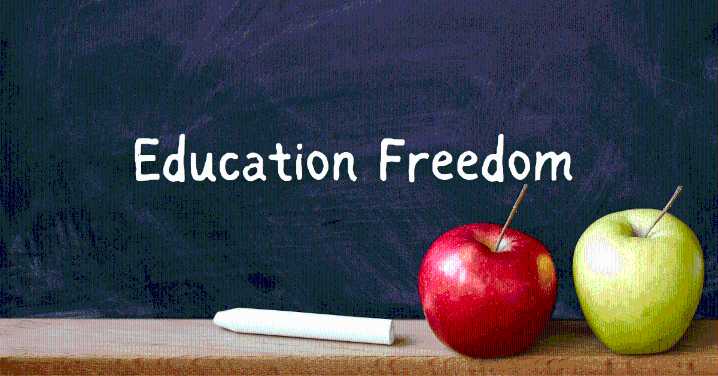 85% say Mississippi parents, not government, should choose their child’s school