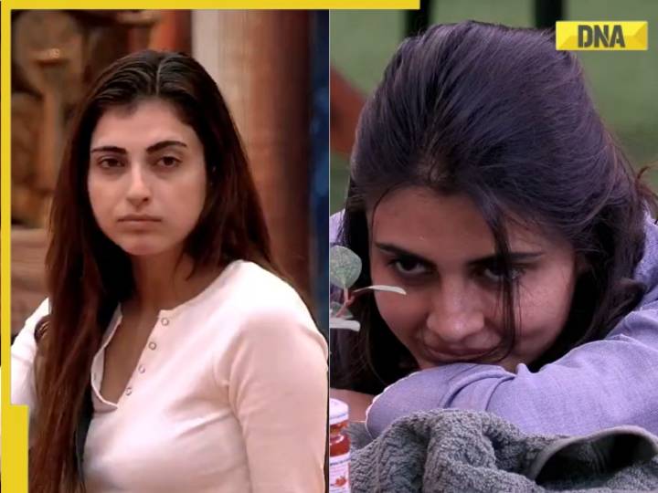Bigg Boss 19: DANGER ahead for Farrhana, Malti Chahar advises Amaal, Pranit to..