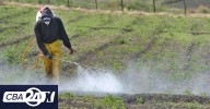 Córdoba: ordenan el cese de fumigaciones con agroquímicos en barrio Universitario de Horizonte III