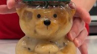 Fan frenzy erupts over Starbucks ‘Bearista’ cup