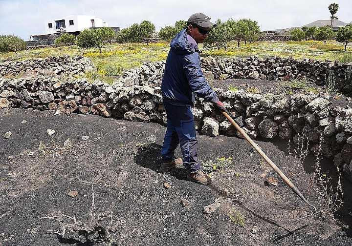 El Cabildo ayuda a 122 agricultores