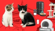 Equipar a tu gato te saldrá mucho más barato hoy gracias al 11 del 11 de AliExpress: areneros automáticos, fuentes, comederos... ¡Todo lo que necesitas para hacerlo feliz al mejor precio!