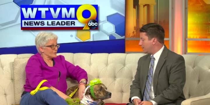 Pet of the Week: Meet Nix