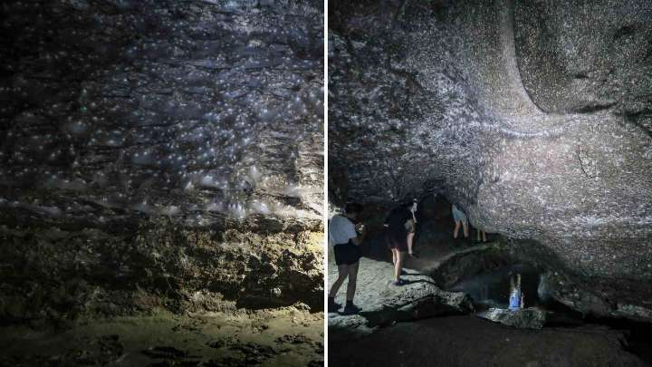 Impresionante telaraña con 111.000 arañas fue descubierta en una gruta en Grecia
