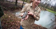 Campus onlookers brave weather, find something fishy at Mossy Creek