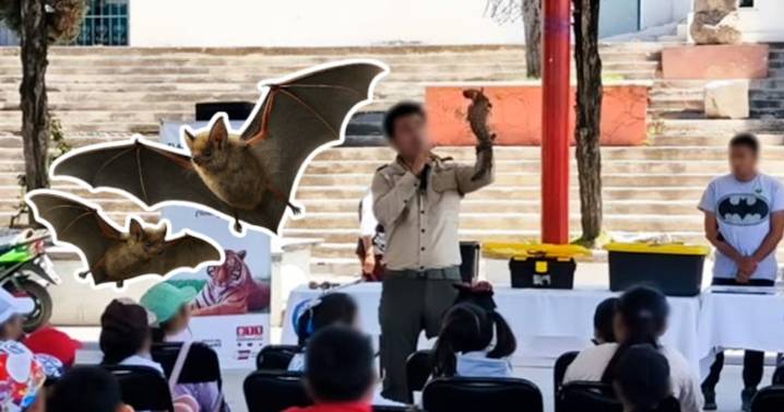 Familia de Tlaxcala resguarda en su hogar a más de dos mil murciélagos: Profepa reconoce su labor ejemplar en conservación ambiental