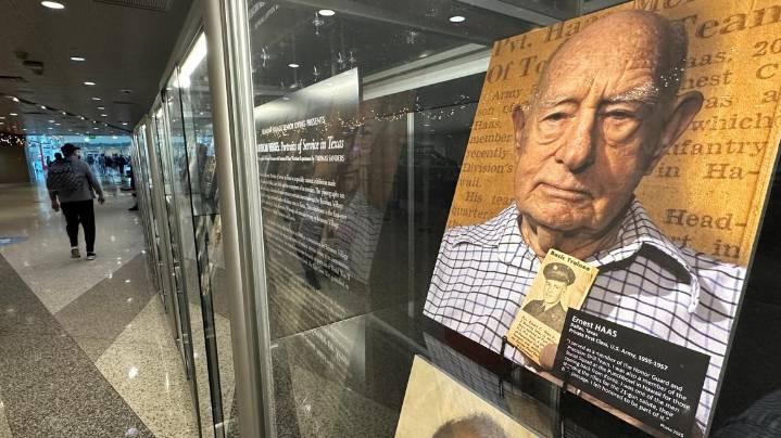 'American Heroes' exhibit honors veterans' service at Dallas Love Field