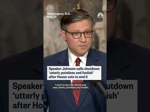 Speaker Johnson calls shutdown 'utterly pointless and foolish' after House vote to end it