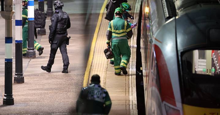 Nine people with life-threatening injuries after mass stabbing on UK train, two suspects arrested