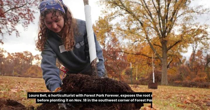 View life in St. Louis the week of Nov. 16, 2025