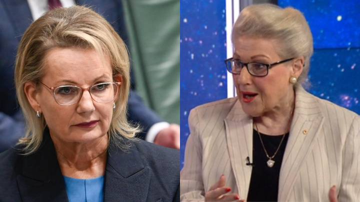 'Sort something out': Liberal titan Bronwyn Bishop warns party infighting will continue until net zero policy announced