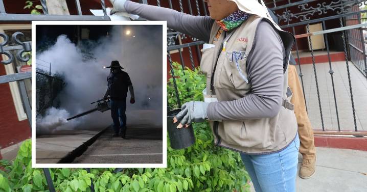 En plena temporada alta de transmisión del dengue, Sonora intensifica acciones de control por brotes en Guaymas, Cajeme y Hermosillo