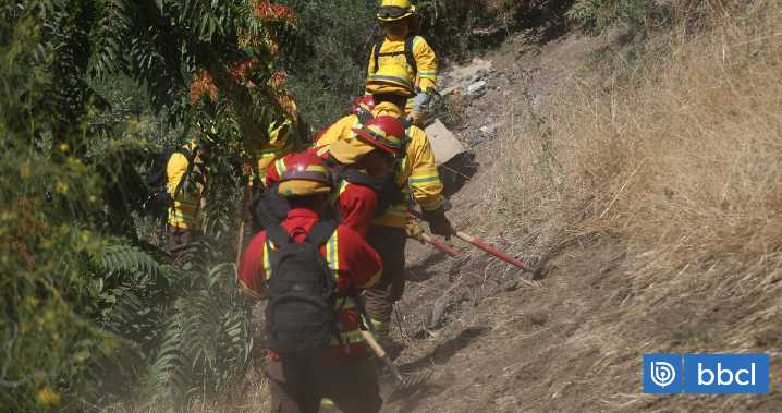 Realizan intervención en Cerro Caracol de Concepción para hacer cortafuegos y prevenir incendios