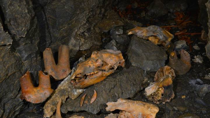 'Frontera Cantábrica' descubre y protege el patrimonio de 36 cuevas del Cuaternario en León