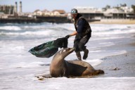 The deadliest toxic algae bloom on record is behind us; what’s next?