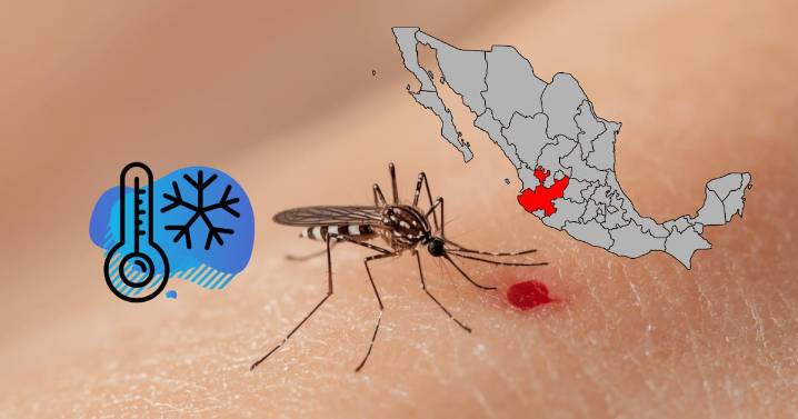Advierten que el dengue pueda repuntar en Jalisco en invierno; el mosquito resiste hasta 0°C