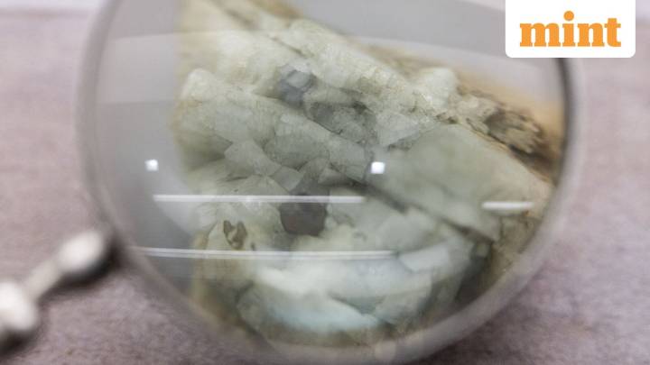 Industry leaders urge India to collaborate for success in rare