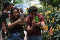 Generación Z en México: ¿participación juvenil y conciencia política?