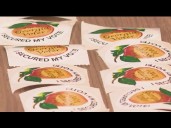 Polls to close soon in Georgia |Races top of mind