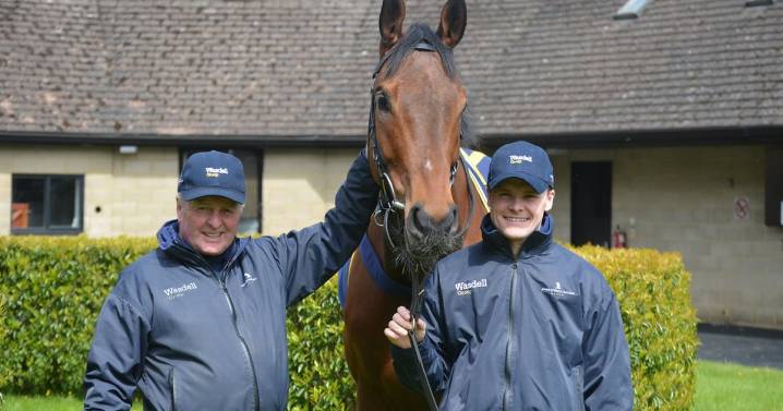 Major jumps yard ‘pulled the plug’ on running horses after run of frustrating performances