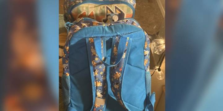 Teen says she was nearly kidnapped in north Phoenix