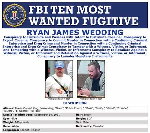 Ryan Wedding, de estrella olímpica a líder narco; EU lo vincula con el Cártel de Sinaloa