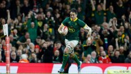 Springbok lock Mostert free to face Ireland after red card rescinded