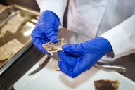 Huánuco: Informe epidemiológico descarta que intoxicación de 16 escolares haya sido por alimentos de Wasi Mikuna