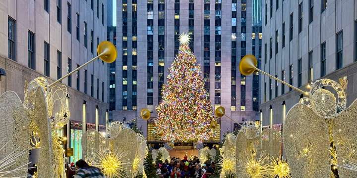 The 2025 Rockefeller Christmas Tree Has Officially Been Selected