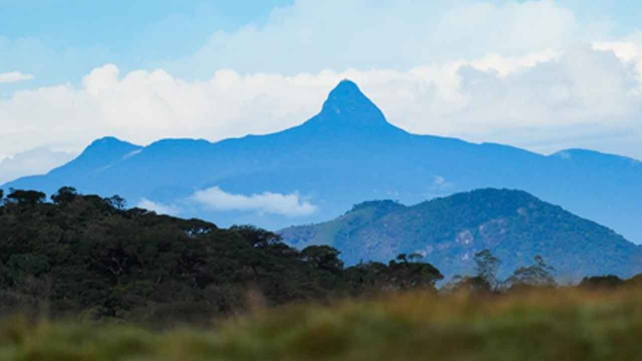 Sri Lanka launches task force to strengthen forest, wildlife protection