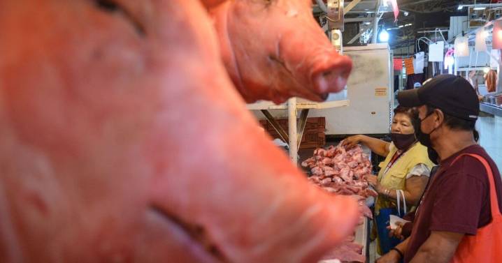 México suspende importaciones de productos porcinos de España por peste porcina