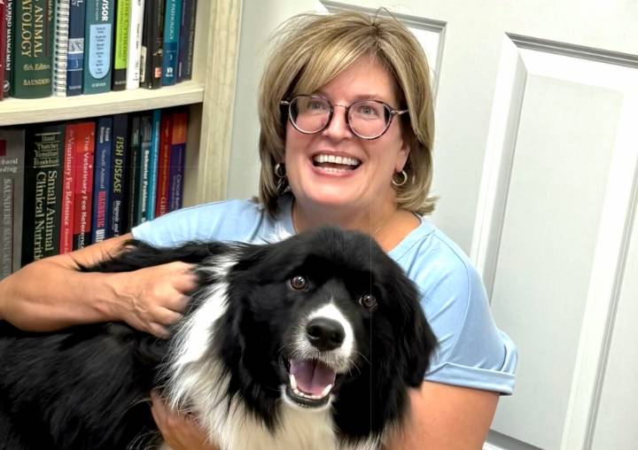 Villager who works as veterinarian jailed after skipping court date