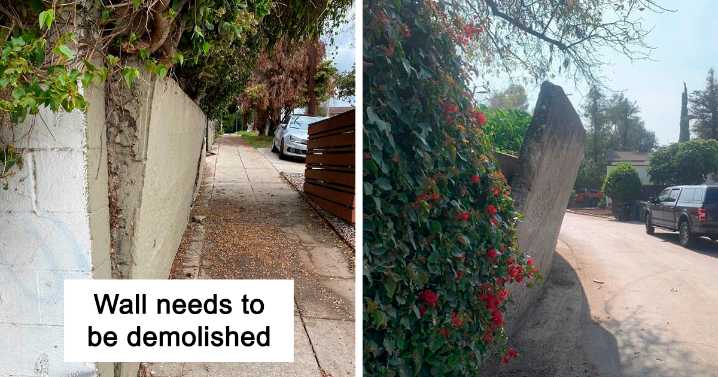 29 Times Structural Inspectors Found Surprising Things