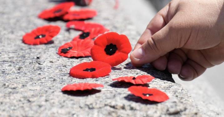 N.S. chief justices defend courtroom poppy ban after politicians call practice wrong