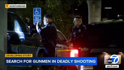 Woman killed in ambush-style murder in San Fernando Valley identified