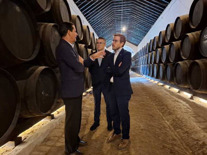 Bodegas Góngora impulsa su transformación con fondos del CDTI
