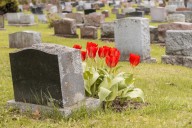 N.J. cemetery buries stranger in family plot, refuses to move body, lawsuit says