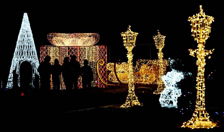 New holiday lights display brightens nights at Big Bear Alpine Zoo