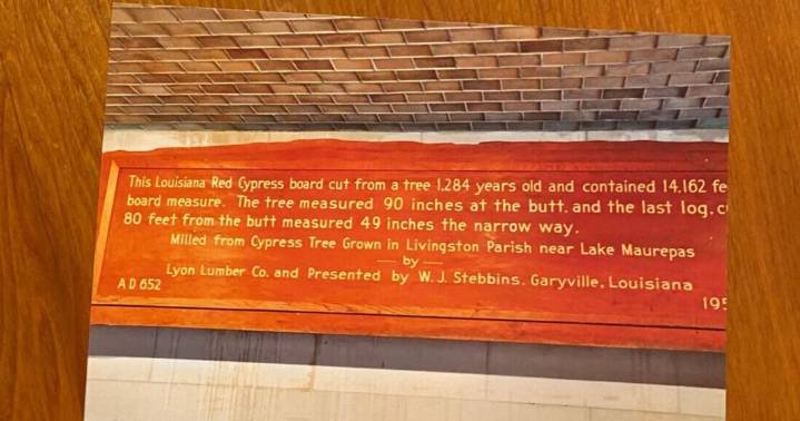 What's the cypress board Clay Schexnayder allegedly stole