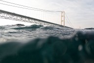 Popular Scalawags fish franchise expanding to Georgia