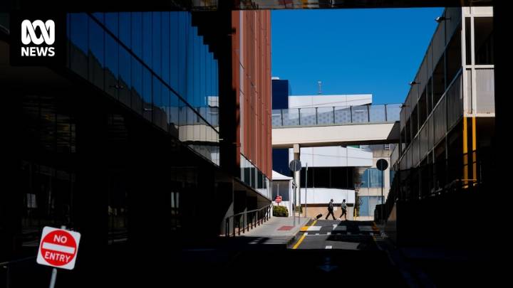 Ramping in SA at six-month low as Health Minister apologises to patient stuck outside FMC