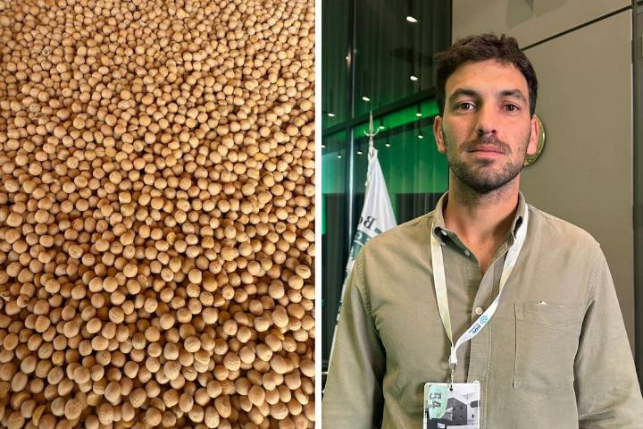 Vendieron 48.000 toneladas. Se conocieron en una multinacional, armaron una empresa y buscan dar un batacazo en China con la arveja