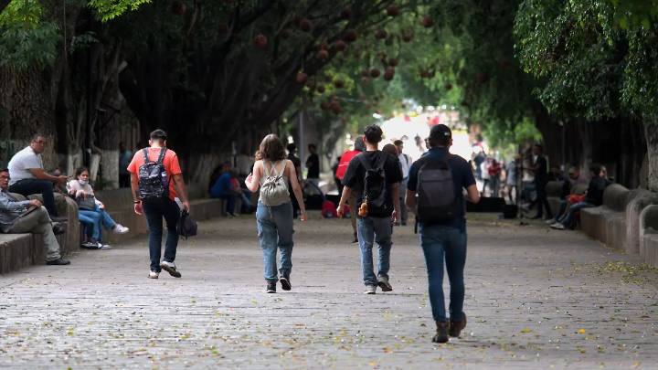 Registra IEMSYSEM 39 quejas por acoso sexual en el último año en Michoacán