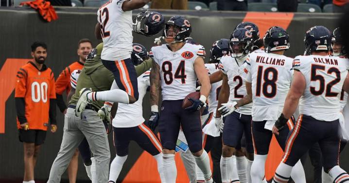 Bears outlast Bengals for wild win on Caleb Williams' TD pass to Colston Loveland in final minute