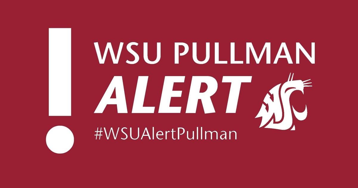 WSU study reveals higher risk of sexual violence for women on campus